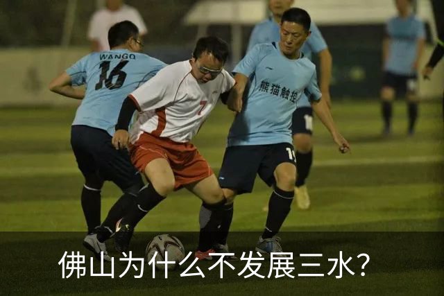 佛山为什么不发展三水？