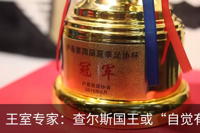 王室专家：查尔斯国王或“自觉有义务”出席哈里王子重要活动